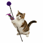 Cat playing with a purple and black cat toy on a white background