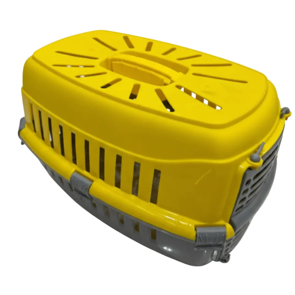 Joy Cat Box Colors.