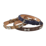 Naomi Dog Collar.