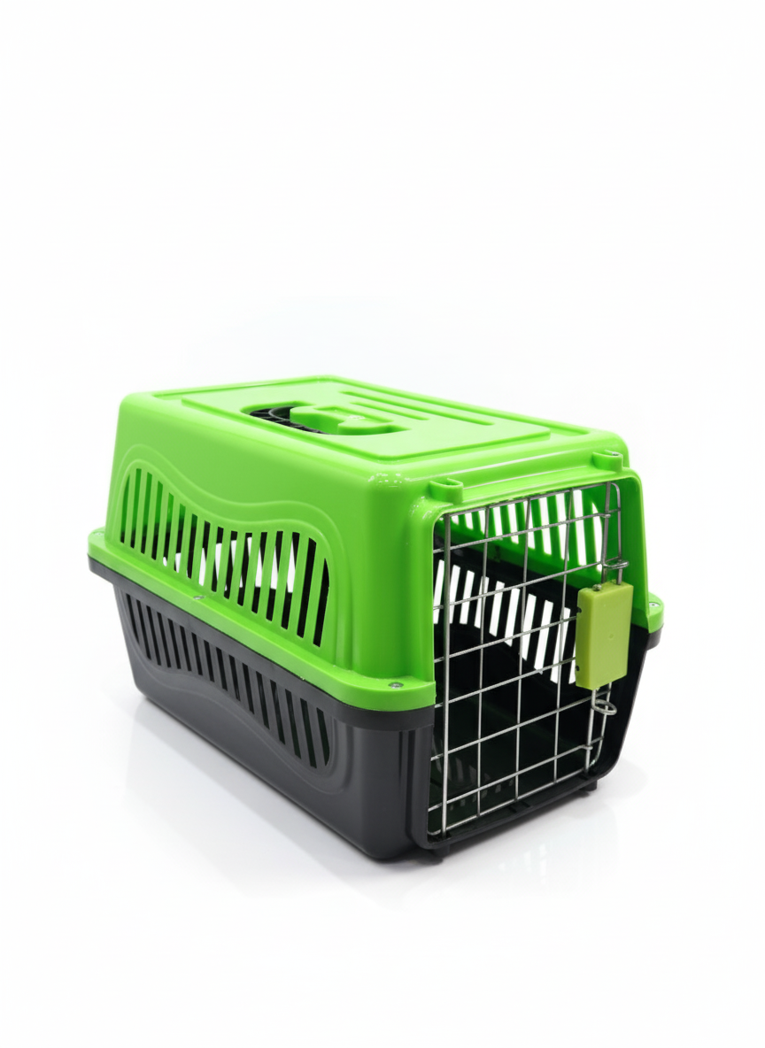 Travel Pet Box 38*25Cm Green.