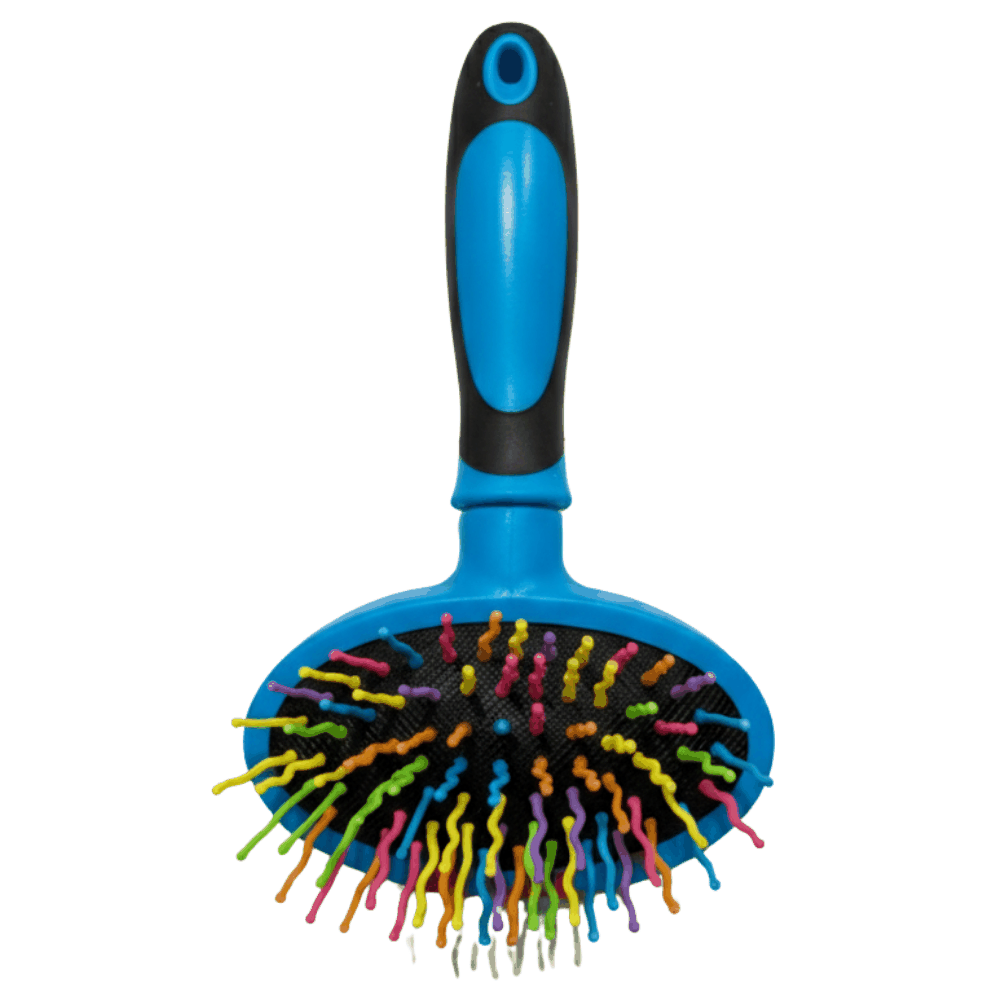 Blue pet grooming brush with colorful bristles on a white background