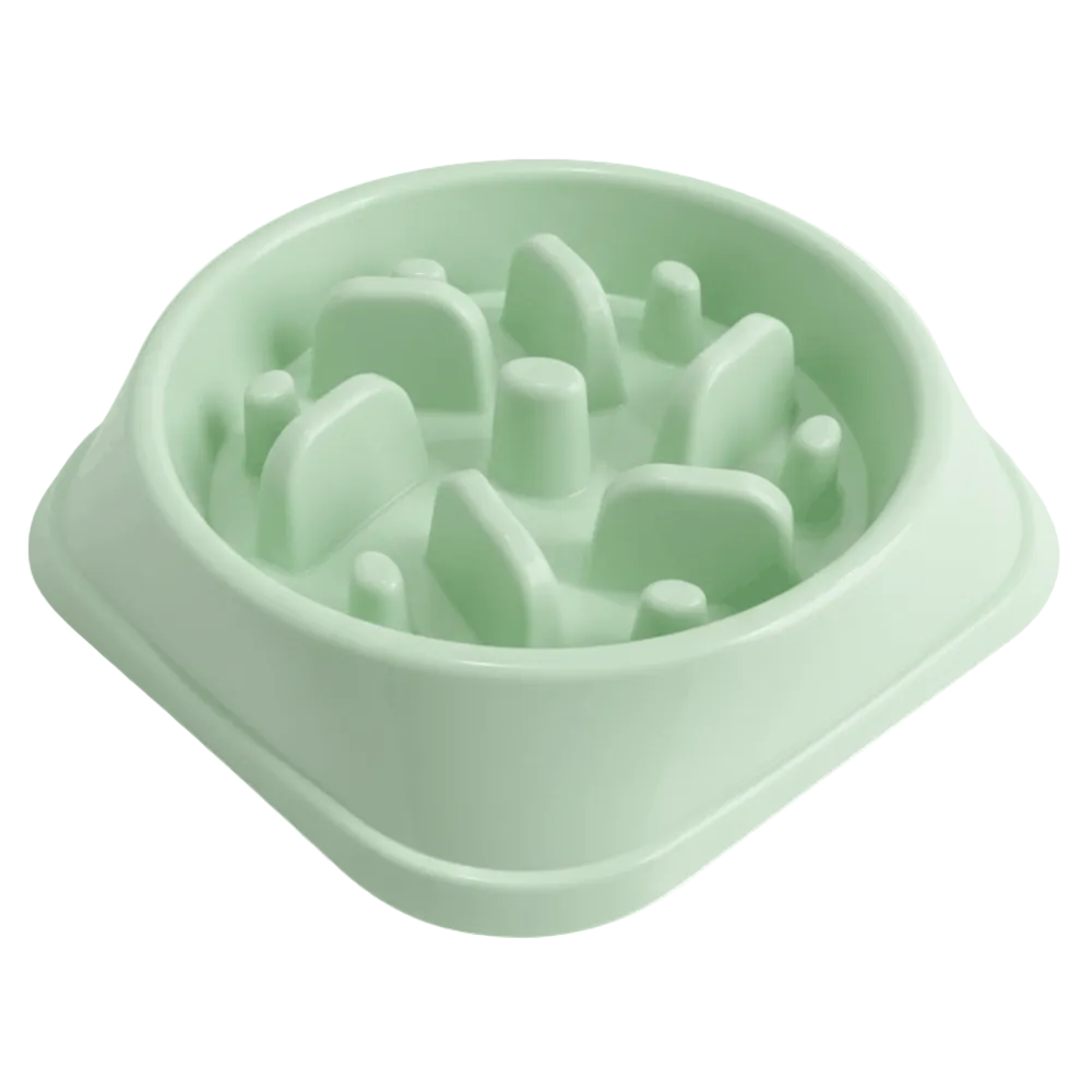 Feeding bowl for Small Dogs and Cats.