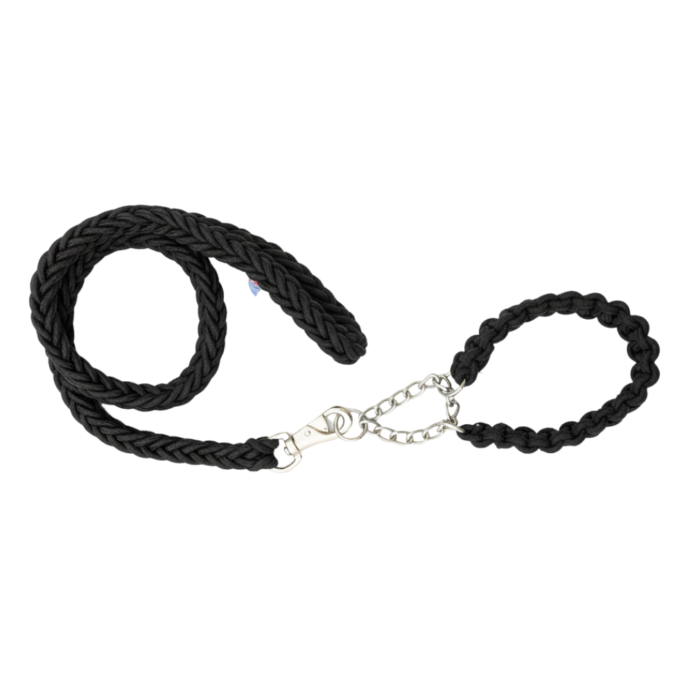 2-in-1 Heavy Duty Adjustable Dog Collar and Braided Loop Leash for Large and Medium Dogs.