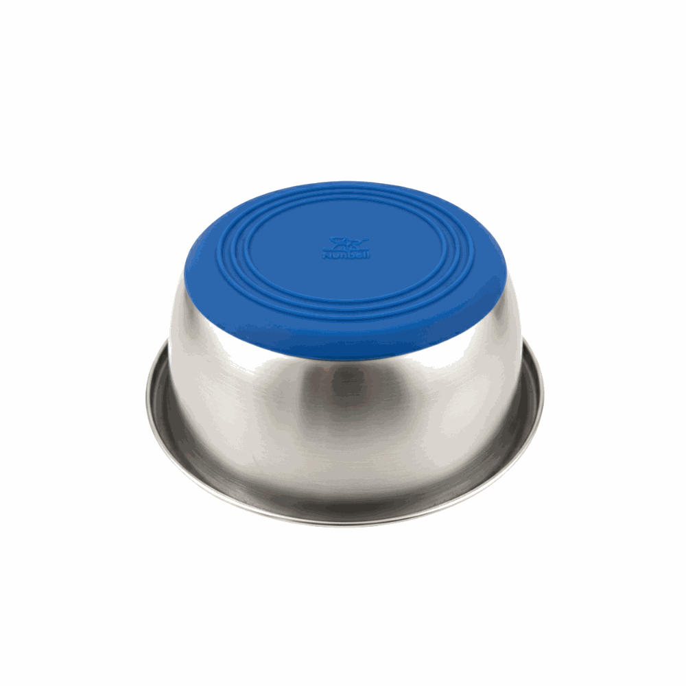 Stainless steel bowl with a blue lid on a white background