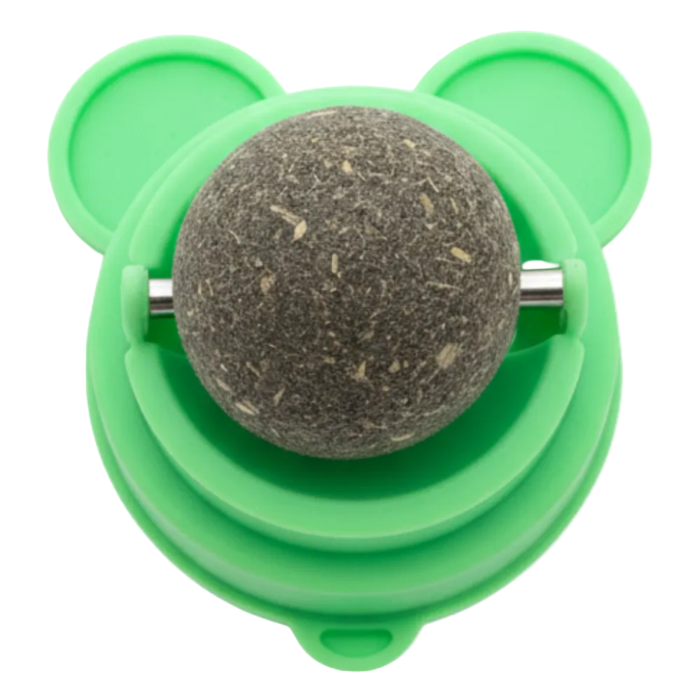 Green pet toy with a textured ball on a white background