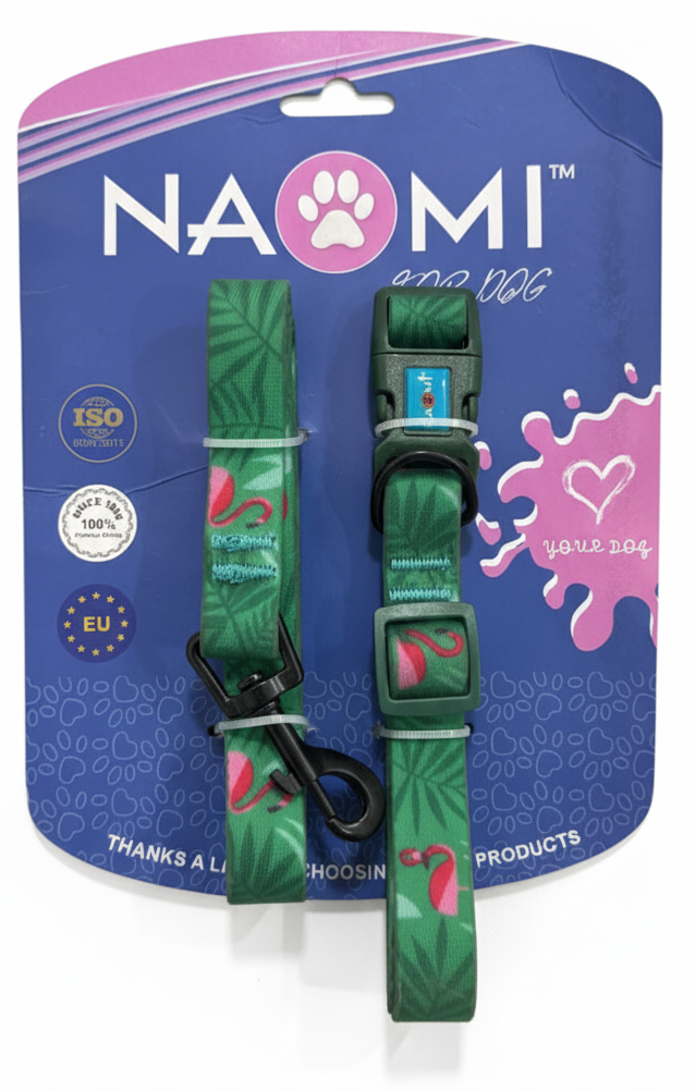 Naomi Collar & Leash Size M.