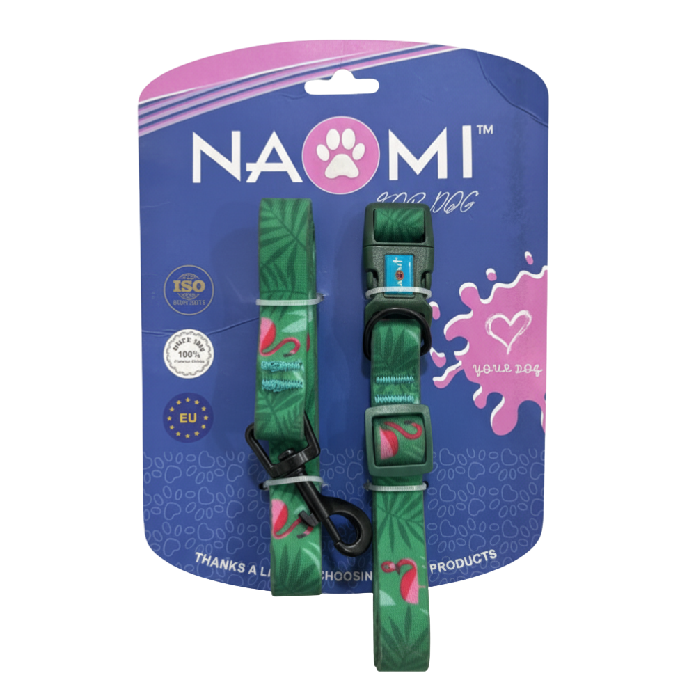 Naomi Collar & Leash Size M.