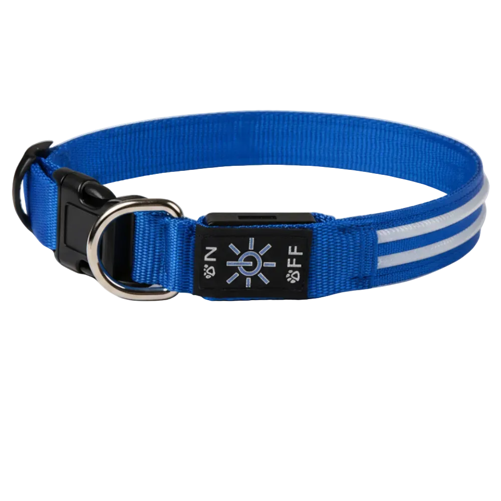 GERMPLASM DOG LED COLLAR SMALL GREEN.