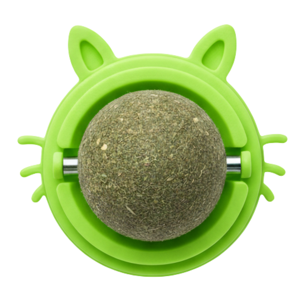 Green cat toy with a ball inside on a white background