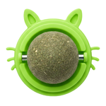 Green cat toy with a ball inside on a white background