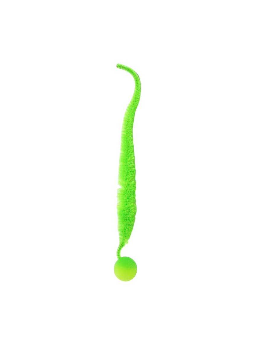 Green cat toy with a long flexible snake-like body and a ball at the end on a white background