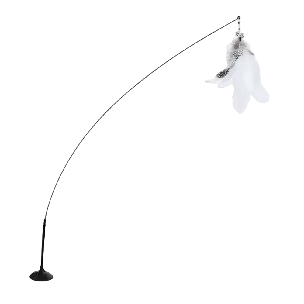 Interactive cat toy steel wire with feather.