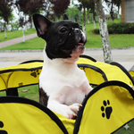 Pet Tent for Cats and Small Dogs yellow Small 73x73x43 cm.