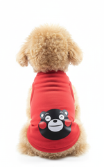 Dog Cloth Red Bear