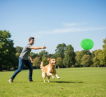 Man playing fetch with a dog in a park on a sunny day