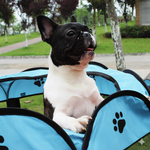 Pet Tent for Cats and Small Dogs Blue Small 73x73x43 cm.
