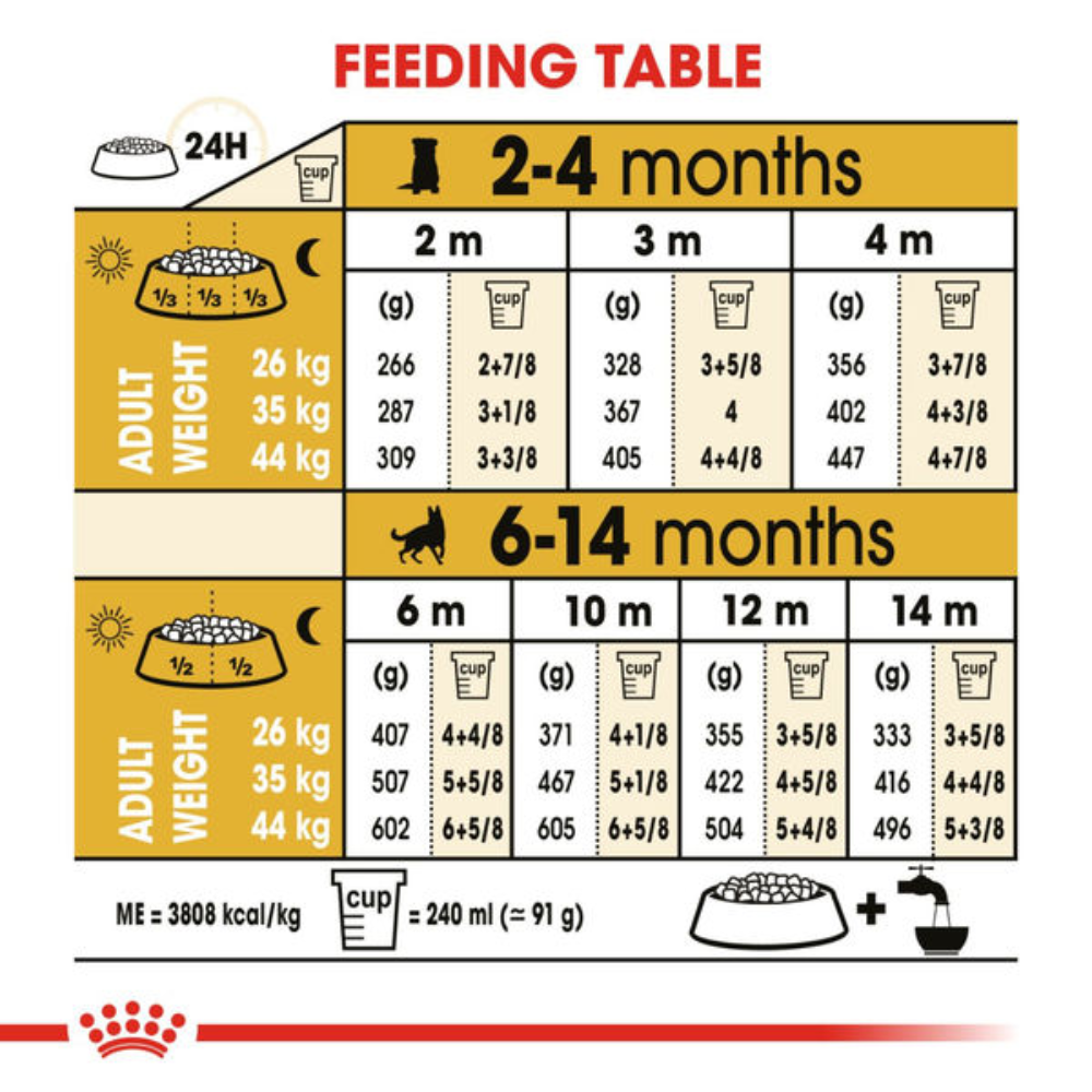 Feeding table chart for puppies with measurements and cup conversions on a yellow background.