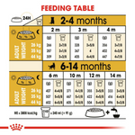 Feeding table chart for puppies with measurements and cup conversions on a yellow background.