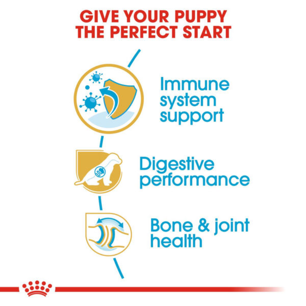 Advertisement for pet food with immune system support, digestive performance, and bone & joint health benefits on a white background.