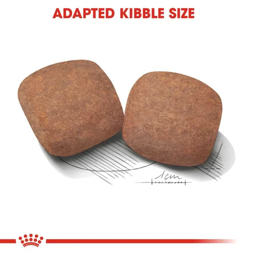 Royal Canin Giant X-Large Breed Adult Dog Food.