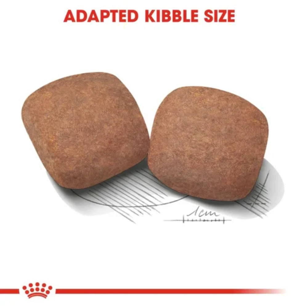Royal Canin Giant X-Large Breed Adult Dog Food.