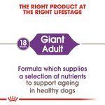 Royal Canin Giant X-Large Breed Adult Dog Food.