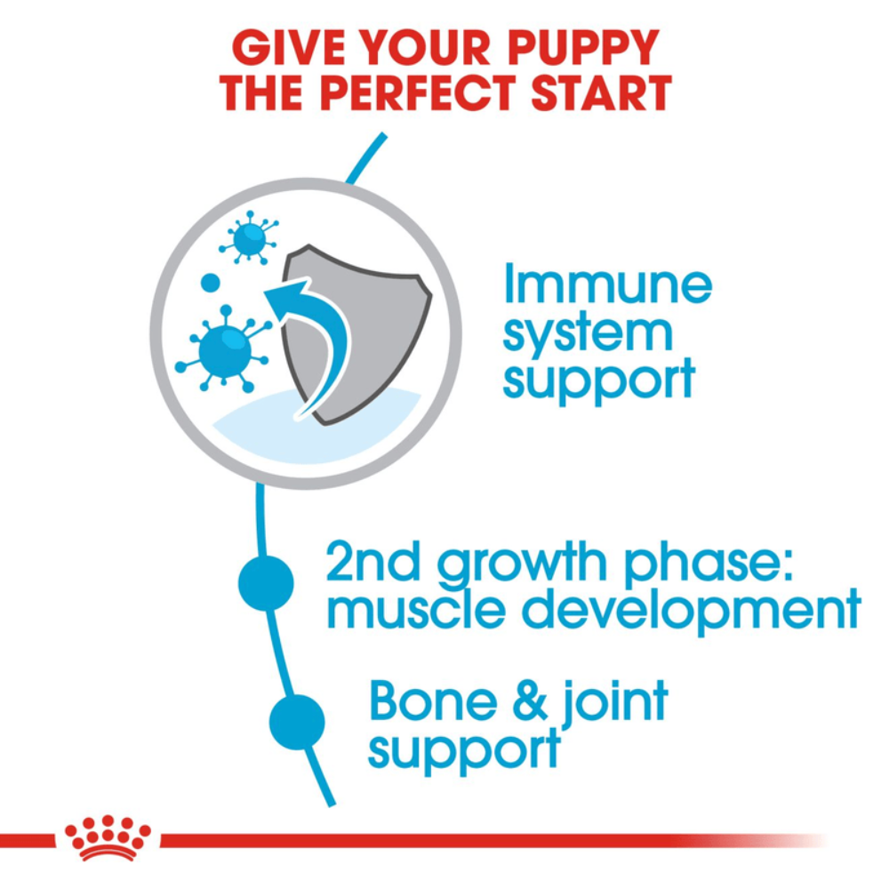 Royal Canin Giant X-Large Breed Junior Dog Food.
