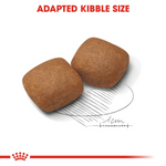 Royal Canin Giant X-Large Breed Junior Dog Food.