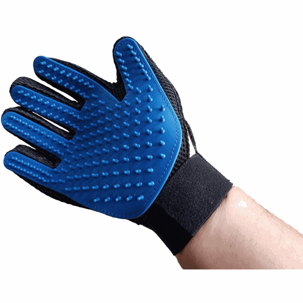 Blue grooming glove with textured surface on a white background