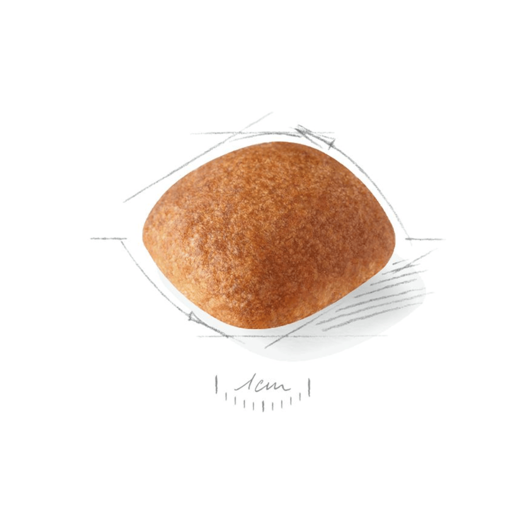 Royal Canin Golden Retriever Adult Dog Food.