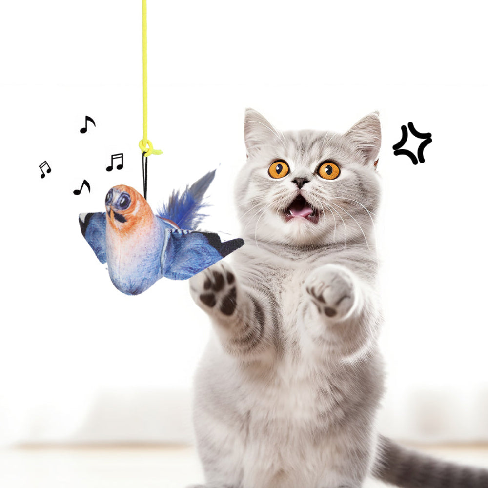 Squeaky Birds Cat Toys Simulated Elastic Birds.