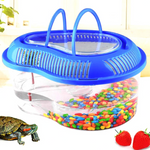Turtles Plastic Tank Petfast.shop Generic Exclusive Small pet petfast.shop EgyptSmall / Green 150.00