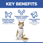 Hill's Science Plan Sterilised Adult Cat Food with Chicken Petfast.shop Hill's Cat Dry Food Food petfast.shop Egypt1.5Kg 1390.00