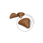 Three brown pet treats on a white background