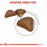 Royal Canin Hairball Care All Breeds Adult Cat Food.