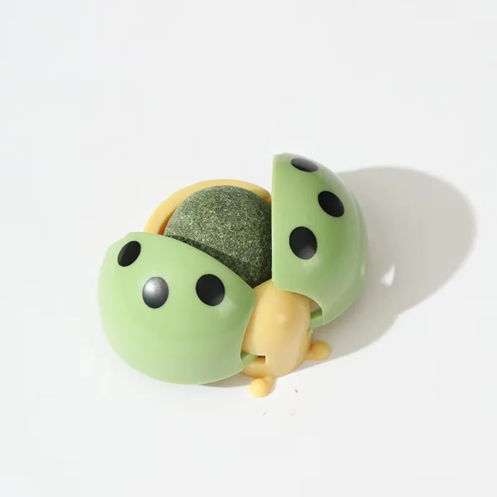 Green ladybug-shaped object on a white background
