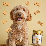 Dog with a jar of dog treats and scattered treats on a yellow background