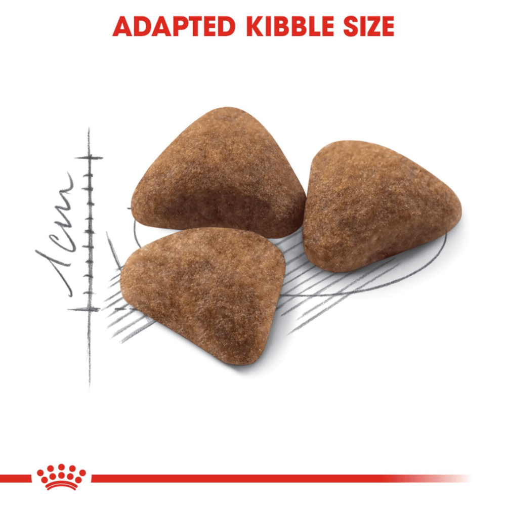 Royal Canin Indoor 27 All Breeds Adult Cat Food.