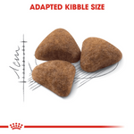 Royal Canin Indoor 27 All Breeds Adult Cat Food.