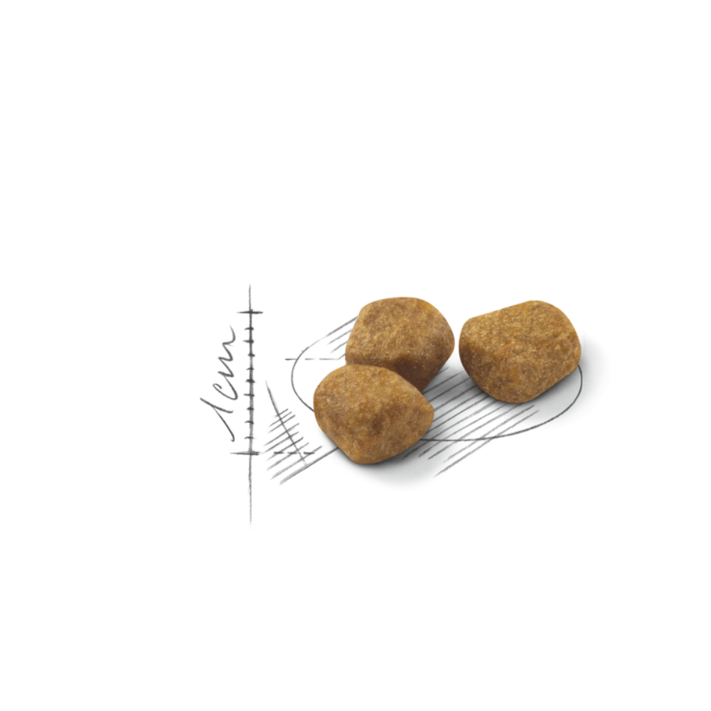 Royal Canin Indoor 7+ All Breeds Mature Cat Food.
