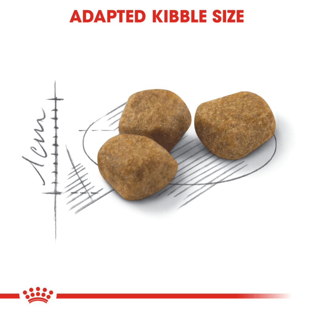 Royal Canin Indoor 7+ All Breeds Mature Cat Food.