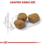 Royal Canin Indoor 7+ All Breeds Mature Cat Food.