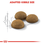 Royal Canin Indoor Long-Hair Adult Cat Food.