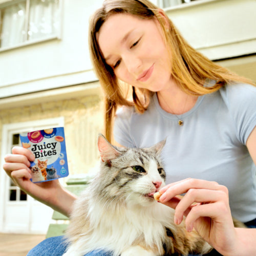 Juicy Bites Calamari and Homestyle Broth Flavors For Cat 3 Packs.