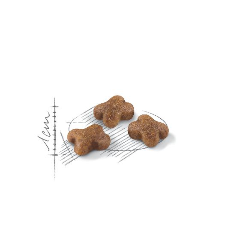 Royal Canin Kitten Second Age All Breeds Cat Food.