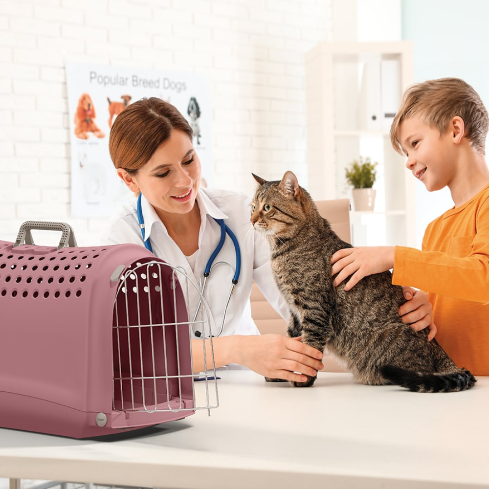 IMac Linus Carrier for Pet 52.5*32*34.5 Cm Petfast.shop IMac Carriers & Travel Accessories Cat Dog Supplies petfast.shop Egypt PIM5874S Pink 1750.00