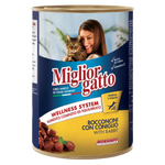 Can of Miglior Gatto cat food with a woman and cat on the label