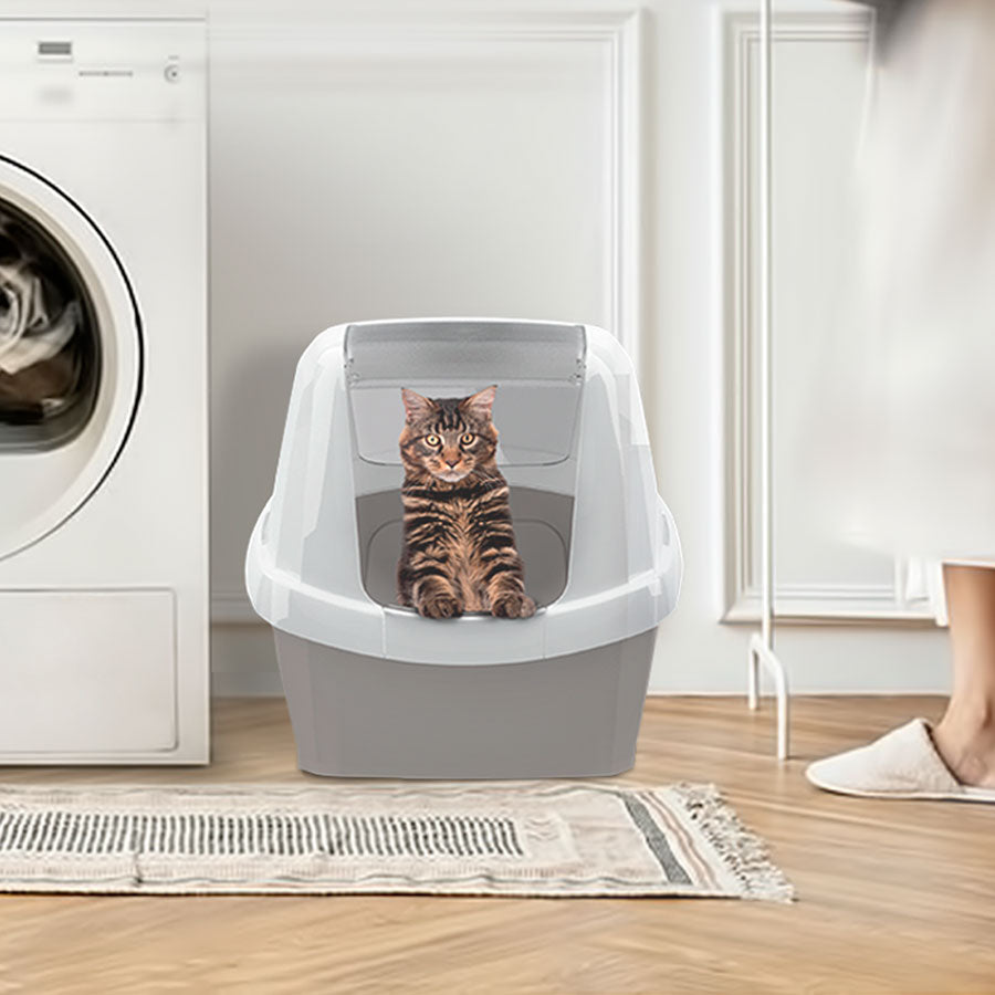 IMac Maddy Closed Litter Box With Scoop 45 Cm * 55 Cm Petfast.shop IMac Box & Accessories & Litter Cat Litter Box & Accessories petfast.shop Egypt PIM5894S Blue 3350.00