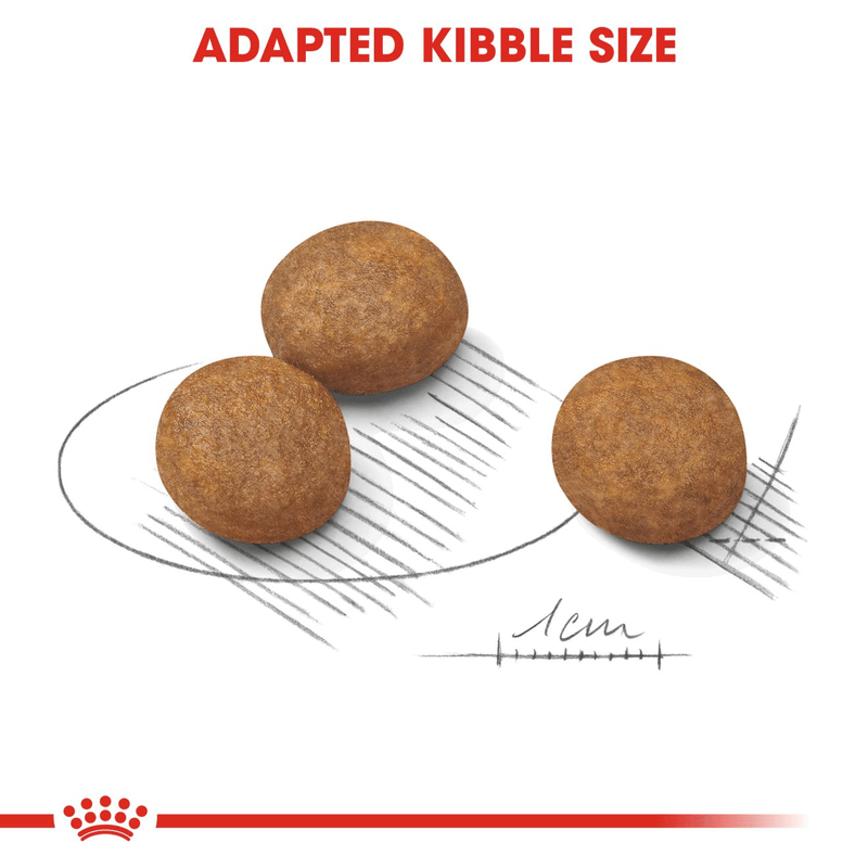 Royal Canin Maxi Large Breed Puppy Food.