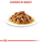 Cat food with chunks in gravy on a white plate, brand logo visible